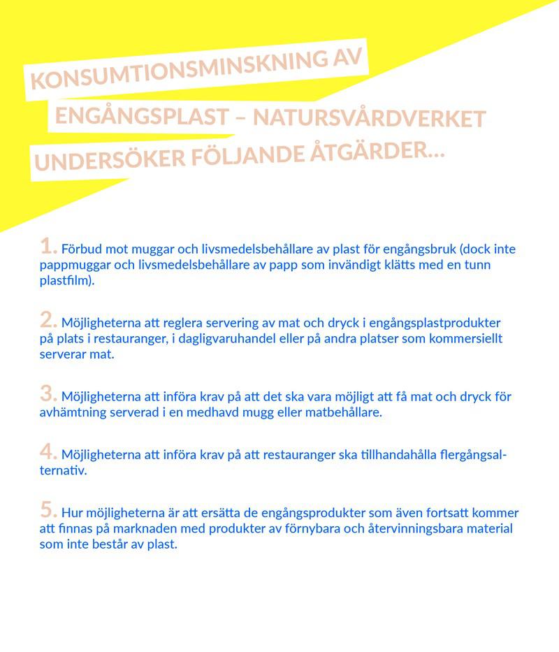 For the remainder of the morning, we held group discussions on the potential policy instruments shown above to achieve a reduction in single-use plastic products in Sweden.